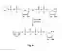 Fig. 05 - Synthesis and use of anti-reverse phosphorothioate analogs of the messenger RNA cap