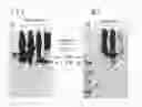 Fig. 02 - Process for producing poly-γ-glutamic acid having high optical purity