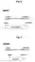 Fig. 07 - NOVEL METHOD FOR PROTEIN PURIFICATION
