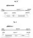 Fig. 08 - NOVEL METHOD FOR PROTEIN PURIFICATION