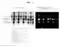 Fig. 02 - Method and kit for isolating and fractioning phosphoproteins