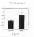 Fig. 07 - Novel Neurotrophic Factors