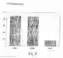 Fig. 08 - Novel Neurotrophic Factors