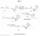 Fig. 04 - Hindered ester-based biodegradable linkers for oligonucleotide delivery