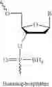 Fig. 22 - Hindered ester-based biodegradable linkers for oligonucleotide delivery