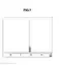 Fig. 02 - ADHESION PROMOTER AND CURABLE RESIN COMPOSITION