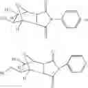 Fig. 35 - Supports for oligomer synthesis