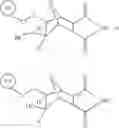 Fig. 52 - Supports for oligomer synthesis