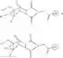 Fig. 53 - Supports for oligomer synthesis