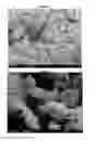 Fig. 02 - Process for polymerising ethylene