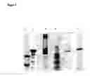 Fig. 09 - Methods for separating recombinant proteins in aqueous two-phase systems