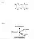 Fig. 02 - COMPOSITION AND METHOD TO MODIFY SPERM FERTILITY AND FEMALE GENDER RATIO IN MAMMALS
