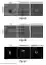 Fig. 08 - Nanofibrous conduits for nerve regeneration