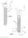 Fig. 02 - Active bone screw