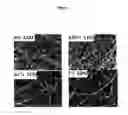 Fig. 02 - Fibrous scaffold for use in soft tissue engineering