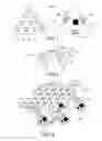 Fig. 02 - Tactile sensor arrangement and corresponding sensory system
