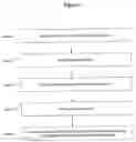 Fig. 02 - User-determinable method and system for manipulating and displaying textual and graphical information