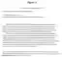 Fig. 06 - User-determinable method and system for manipulating and displaying textual and graphical information