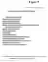 Fig. 12 - User-determinable method and system for manipulating and displaying textual and graphical information