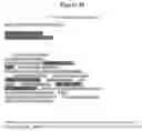 Fig. 21 - User-determinable method and system for manipulating and displaying textual and graphical information