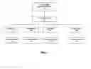 Fig. 02 - Identification and tracking of digital content distributors on wide area networks