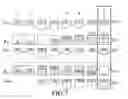 Fig. 07 - CONTROL METHOD OF TRANSMITTING STREAMING AUDIO/VIDEO DATA AND ARCHITECTURE THEREOF