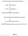 Fig. 02 - Celery variety stix (PYC 6651)