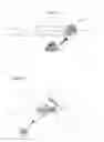 Fig. 04 - Simulated crawdad eggs, or simulated crawdad babies