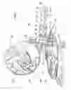 Fig. 02 - SAW WITH CIRCULAR BLADE