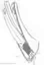 Fig. 02 - Garlic press