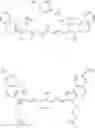 Fig. 08 - POSITIVE LITHOGRAPHIC PRINTING PLATE PRECURSOR AND METHOD FOR PRODUCING THE SAME