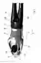 Fig. 04 - Restraint system for securing a user on a watercraft, and watercraft having a restraint system