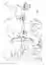 Fig. 02 - Archery Bow Bracket