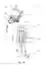 Fig. 02 - Devices, systems and methods for operation of breathing apparatuses in multiple modes