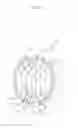 Fig. 17 - WEARER'S OWN HAIR UTILIZING TYPE WIG