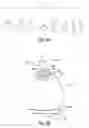 Fig. 06 - Nail groomer