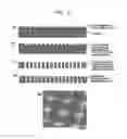 Fig. 08 - Anisotropically elongated thermoelectric material, process for preparing the same, and device comprising the material