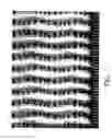 Fig. 06 - Creped tissue sheets treated with an additive composition according to a pattern