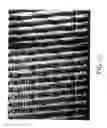 Fig. 07 - Creped tissue sheets treated with an additive composition according to a pattern