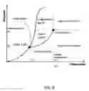 Fig. 07 - AUTONOMOUS FILTER ELEMENT