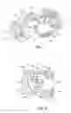 Fig. 06 - Harness fastener system for child carrier device