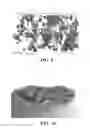 Fig. 07 - Ore reduction process using carbon based materials having a low sulfur content and titanium oxide and iron metallization product therefrom