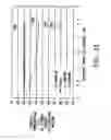 Fig. 10 - Thermal Energy Dissipating and Light Emitting Diode Mounting Arrangement