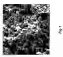 Fig. 02 - Preparation of bulk superhard B-C-N nanocomposite compact