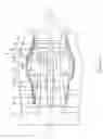 Fig. 02 - Split ring seal with spring element