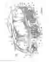 Fig. 02 - Vehicle suspension system