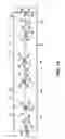 Fig. 09 - APPARATUS AND METHODS FOR MOVING STORE FIXTURES AND GONDOLAS