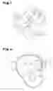 Fig. 02 - Side airbag apparatus and method for folding airbag