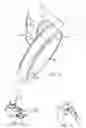 Fig. 07 - TWO-WAY FOLDABLE CHAIR