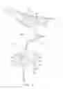 Fig. 04 - Holding assembly for a seat of a bicycle